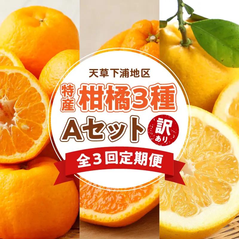 S040-T02A_【定期便3回】天草 下浦地区特産の柑橘3種Ａセット(訳あり)【先行受付】