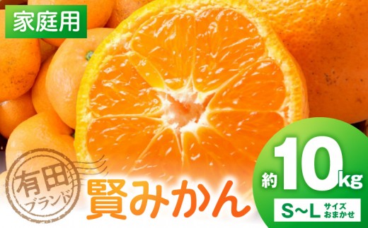 
                  【家庭用】有田ブランド 賢みかん 約10kg（S～Lサイズおまかせ）_ZD92062
                