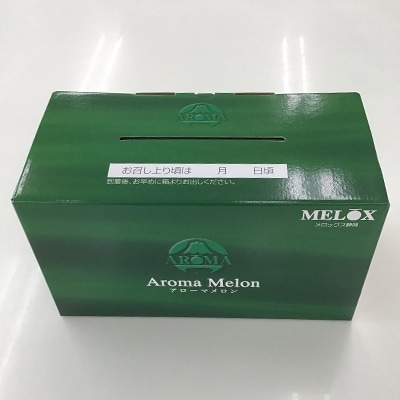 静岡県産　高級アローマメロン　山級 約1.4kg× 2玉【配送不可地域：離島・北海道・沖縄県】