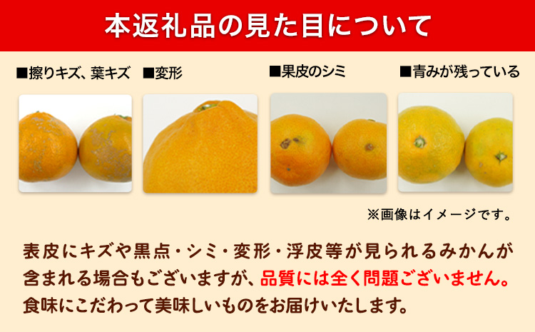 みかん 訳あり 早生 みかん 5kg ( サイズ 不選別 ) どの坂果樹園《12月上旬-2月上旬頃出荷》和歌山県 日高川町 みかん ご家庭用 訳あり 早生 みかん サイズ 不選別 おまかせ 旬 柑橘 