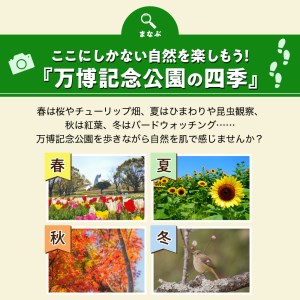 万博記念公園特別利用券【万博オールパスポートコース】1年間入園無料【大阪府吹田市】