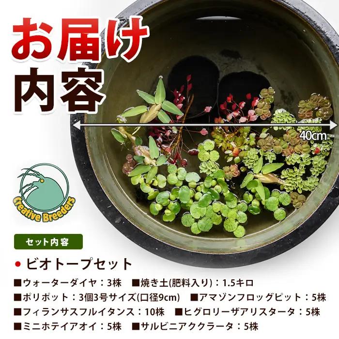 【10営業日以内に発送】ビオトープセット (アクアファームはくと/IB167-002)