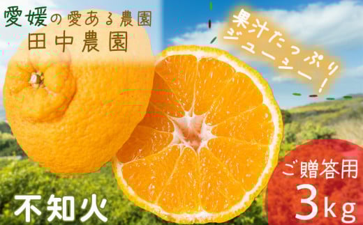 不知火 しらぬい 約3kg  ご贈答用【2月下旬から順次発送】でこぽんと同品種 柑橘類 先行予約 フルーツ 柑橘類 先行予約 果物 フルーツ みかん シラヌイ 人気 おすすめ 愛媛 松山 田中農園