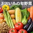 【ふるさと納税】おおいたの旬野菜 10～13品 詰め合わせ