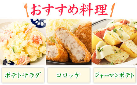 じゃがいも 北海道十勝 オーガニック じゃがいも 7kg サイズ S-2L《11月下旬-3月中旬頃より順次出荷》 オフイビラ源吾農場 送料無料 北海道 本別町 さやあかね 負箙源吾農場