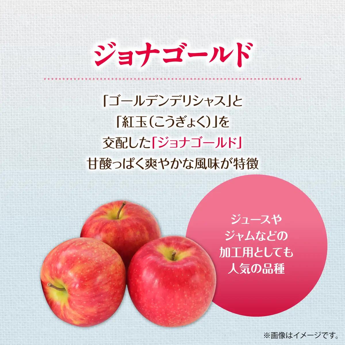 【先行予約】＜2026年10月下旬よりお届け＞北海道壮瞥町　りんご　品種名「ジョナゴールド」8～10玉約3kg SBTF018