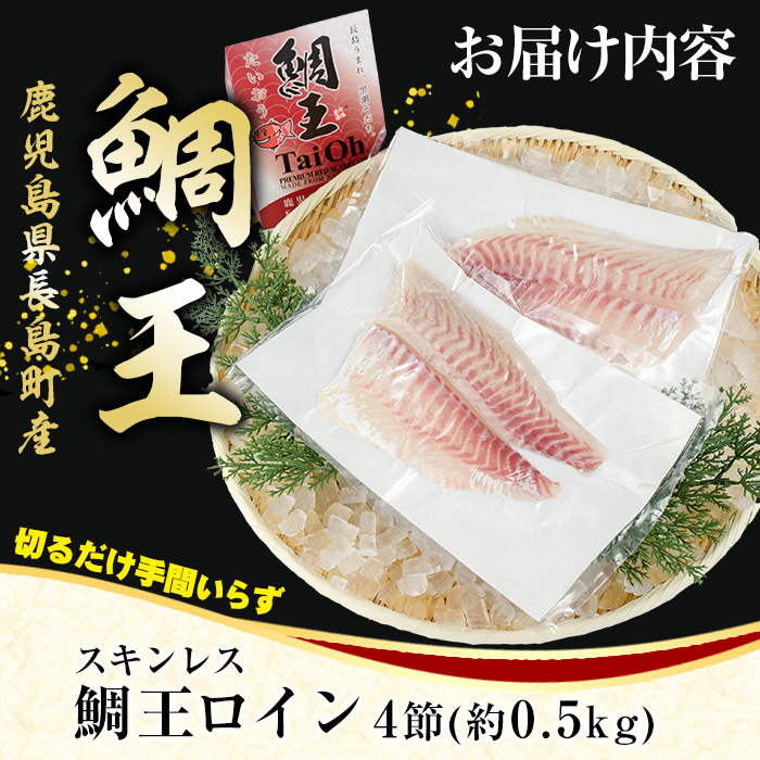 長島町特産「鯛王」スキンレスロイン 4節入り (約0.5kg) ＼カットするだけ簡単！新鮮なお刺身が楽しめる／ 産地直送 新鮮 旨味が抜群の 長島町 特産品 ブランド 刺身 鯛めし 鯛茶漬け 鯛しゃぶ