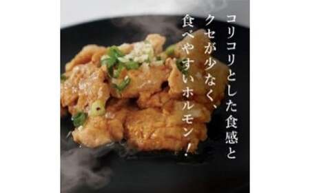 牛ホルモン4種詰め合わせ×2　【11100-1123】