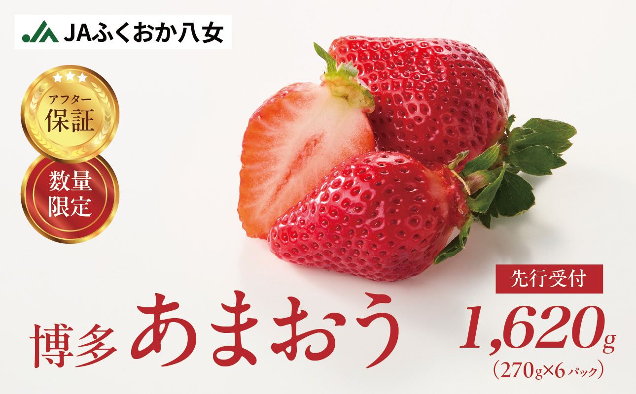 【2026年2月発送開始】博多あまおうＧ270g×6パック｜ＪＡふくおか八女 あまおう いちご 苺 イチゴ フルーツ 果物 くだもの 人気  旬 福岡県産 大粒 アフター補償 数量限定 期間限定 産地直送 グランデ 福岡県 八女市
