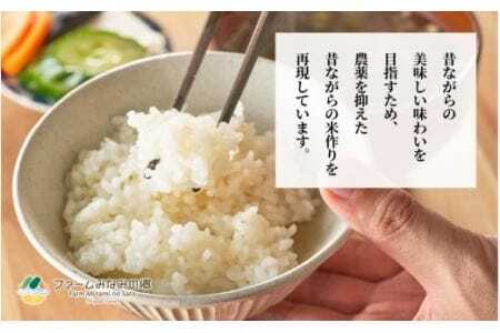 【令和7年度産米】特別栽培米コシヒカリ100％「南郷米」精米 5kg（5kg×1袋） |五泉市 コシヒカリ