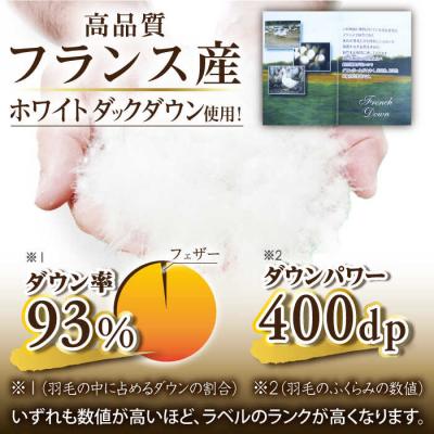 ふるさと納税 糸島市 【訳あり】【 糸島羽毛ふとん】【高級ダウン使用】柄おまかせダウン93%【シングル】[AYM014] |  | 03