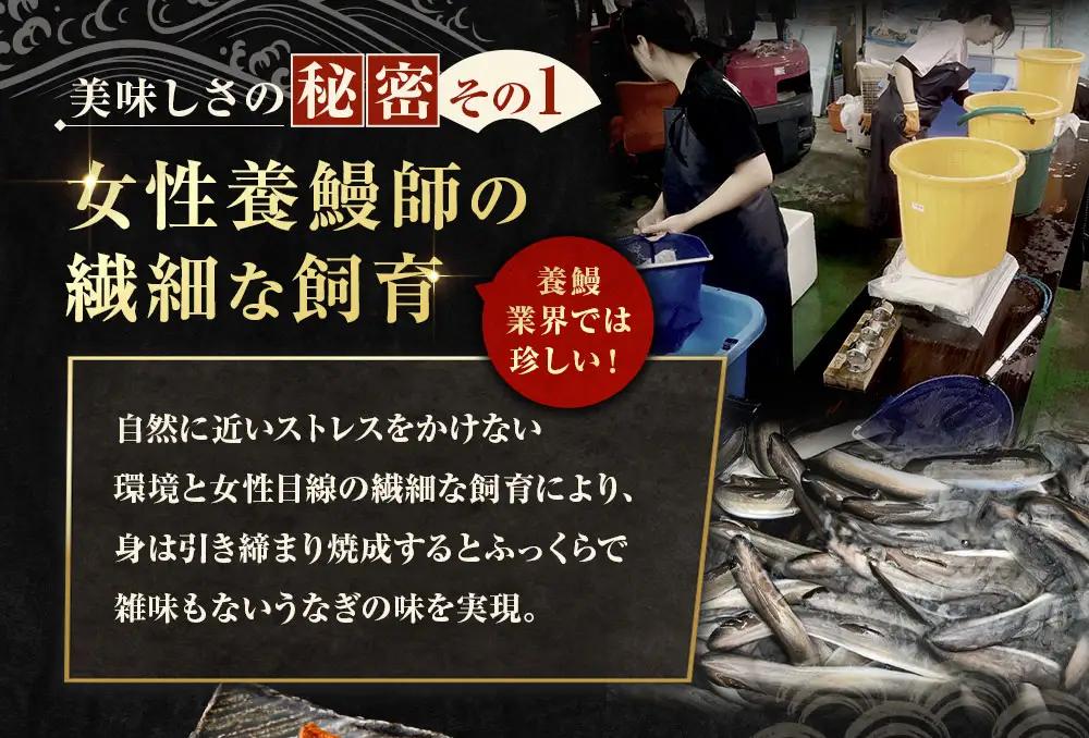 めぐみうなぎ 蒲焼き 2尾セット うなぎ ウナギ 鰻 魚介類 かば焼き おかず うな重 うな丼 丼 国産 大阪府産 冷凍
