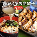 【ふるさと納税】 レトルト 鶏飯 餃子 セット 島豚 ギフト のし対応 冷凍 鶏出汁