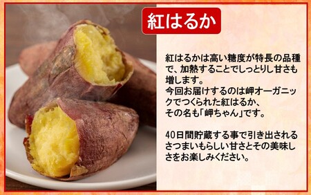 【訳あり】有機栽培さつまいもの岬ちゃん5kg（品種：紅はるか）_2357R