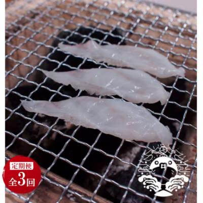 ふるさと納税 壱岐市 【毎月定期便】極上焼きふぐセット(40g×6パック)全3回