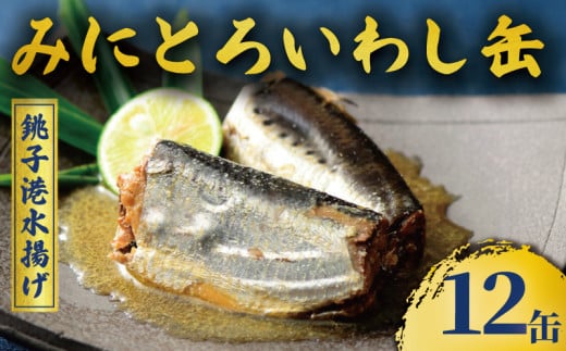 缶詰 国産 ミニとろ イワシ 味付 12缶 缶詰 缶詰めセット 缶詰 魚 缶詰 備蓄 缶詰・瓶詰 缶詰め 缶詰 詰め合わせ 缶詰 おかず いわし イワシ 鰯 まいわし マイワシ 缶詰 魚介 国産 保存食 非常食 ローリングストック 長期保存 防災 備蓄 ふるさと納税缶詰 ふるさと納税 千葉県 銚子市 千葉産直サービス