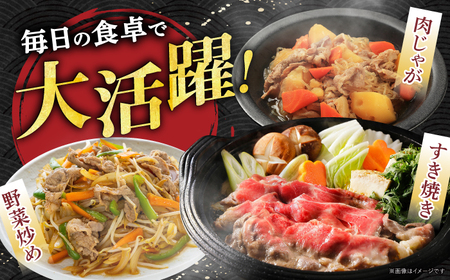 【3回定期便】 飛騨牛 切り落とし 700g 多治見市 / 養老ミート 冷凍 赤身 和牛 訳あり ギフト[THG017]