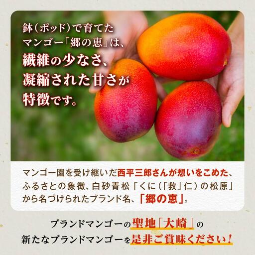 【ご家庭用3-4玉（1.0kg）】大崎完熟マンゴー「郷の恵（さとのめぐみ）」