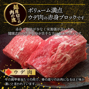 博多和牛 赤身ブロック 1ポンド（約450g） KY4606