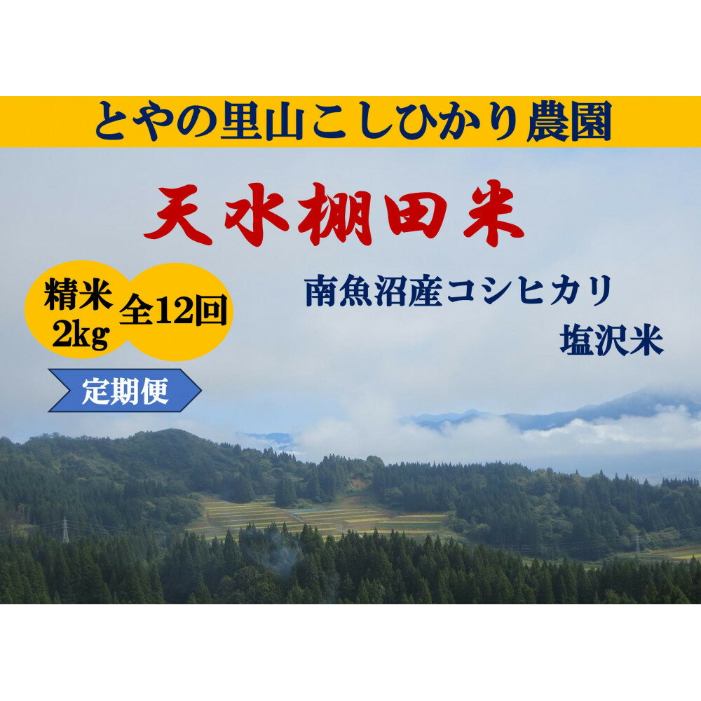 【ふるさと納税】令和8年産新米予約定期便【天水棚田米】雪蔵熟成塩沢産コシヒカリ精米2kg12回「とやの里山継承プロジェクト」【定期便 銘柄米 ブランド米 精米 こしひかり コシヒカリ 魚沼産 新潟米】【2026年10月下旬より順次発送予定】