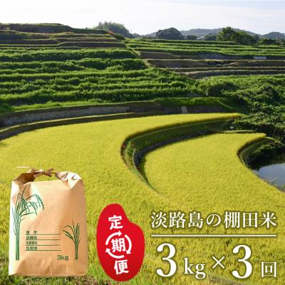 ふるさと納税 淡路市 【定期便】淡路島の棚田米 3kg×3回　精米 白米　ae01082