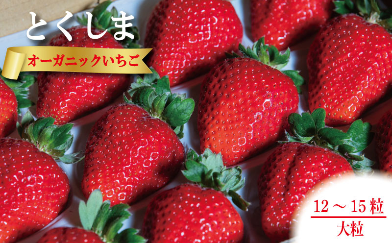 
                  オーガニック いちご 大粒 約12～15粒 《1月末から5月発送》 有機JAS認証 ORGANIC 甘い 苺 イチゴ 果物 フルーツ 産地直送 新鮮 ストロベリー ジャム スムージー 期間限定 徳島 無農薬 完全無農薬 人気 ギフト プレゼント 贈答用 ケーキ スイーツ
                