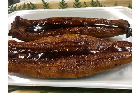 a15-354　静岡県産うなぎ長焼