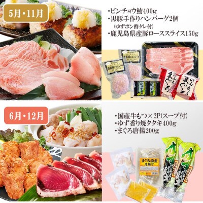 定期便6回配送 【当店限定】ごちそうまんきつセット FF−6004【配送不可地域：離島】【1492208】