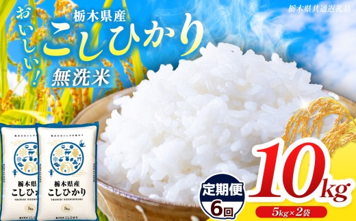 【栃木県共通返礼品】【令和8年度産】【定期6回】 訳あり 栃木県産コシヒカリ  無洗米 5kg×2 10kg | 定期便 選べる ふるさと 納税 コシヒカリ とちぎの星 お米 精米 無洗米 ごはん ご飯 主食 日本米 kome 栃木県 共通返礼品 那珂川町 送料無料