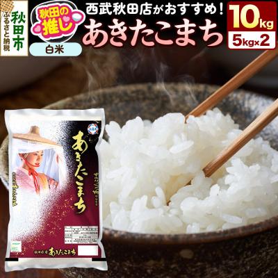 ふるさと納税 秋田市 秋田県産 あきたこまち【白米】10kg(5kg×2袋)|15_ssa-040501