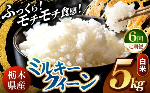 【令和8年産 先行予約】 ＼訳あり／ ミルキークイーン 白米 5kg 【定期便 ６回】 | 米 お米 コメ 白米  ライス ご飯 ごはん 美味しい 米 ミルキークイーン 5kg  銘柄米 ブランド米 令和8年産 産地直送  定期便 ６回 新米  国産 国産米 栃木県産 お米 栃木県産米 お取り寄せ  2026年産 米 kome 栃木県 真岡市