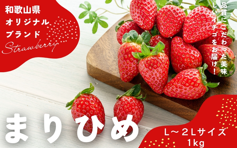 まりひめイチゴ L～２L 12粒～15粒×4パック【2026年1月初旬から発送】【先行販売】【KG8】【kgr008A】