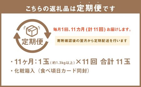 【11ヶ月定期便】 静岡県産高級 アローマメロン 白等級 約1.3kg以上×中玉1玉 （合計11玉） ／ 11回定期便 メロン 青肉メロン 中玉 果物 果実 フルーツ 定期便 静岡県 菊川市 常温