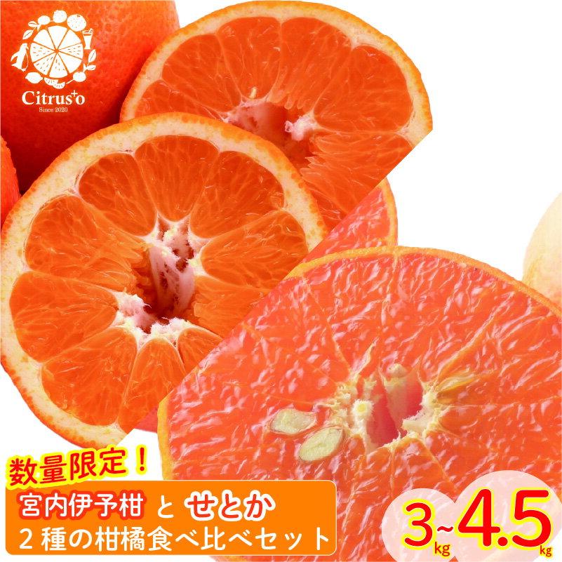 【ふるさと納税】 【2026年2月上旬から発送】宮内伊予柑とせとか 2種の柑橘食べ比べセット 優品以上 みかん 柑橘 フルーツ みかん 食べ比べ 蜜柑 せとか セトカ 食べ比べ 果物 くだもの おすすめ 高級 いよかん 人気 お取り寄せ 期間限定 数量限定 愛媛県 松山市