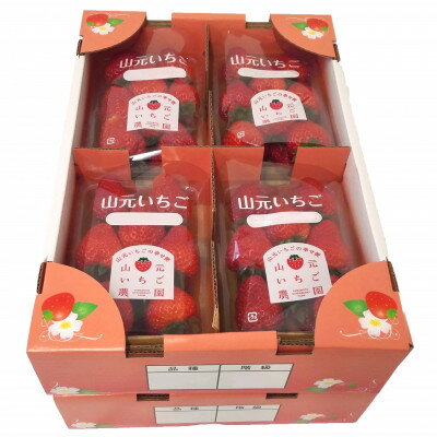 【ふるさと納税】山元いちご農園 4品種食べ比べセット 8パック【配送不可地域：離島・北海道・沖縄県・信越、北陸・近畿・中国・四国・九州】【1693723】