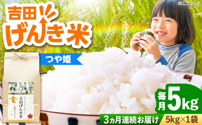 
                  【令和8年産 新米 先行予約】つや姫 5kg×3回 定期便（計15kg）吉田げんき米 島根県雲南市産 白米 精米 米 お米 新米定期便 米定期便 5キロ [AIDB126-r8]
                