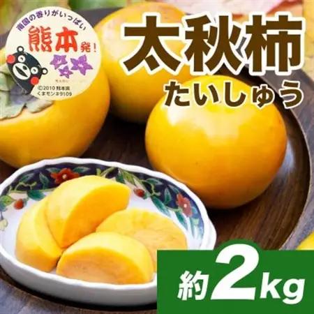 【先行予約】 熊本県産 秋の味覚 新触感 甘い 柿 太秋柿 約2kg(4～8玉)(益城町)【配送不可地域：離島】【1687215】