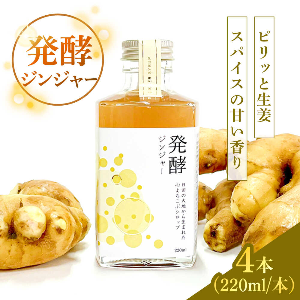 【ふるさと納税】【お中元ギフト】ピリっと生姜にスパイスの甘い香り！身体にも心にも優しい発酵ジンジャーシロップ発酵ジンジャー（4本セット） 日田市/株式会社インパクト スパイス 炭酸 シロップ[ARDA012]