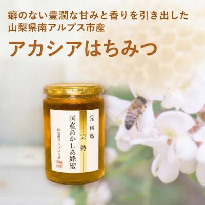 ふるさと納税 南アルプス市 特選(完熟)国産あかしあ蜂蜜　450g×1本