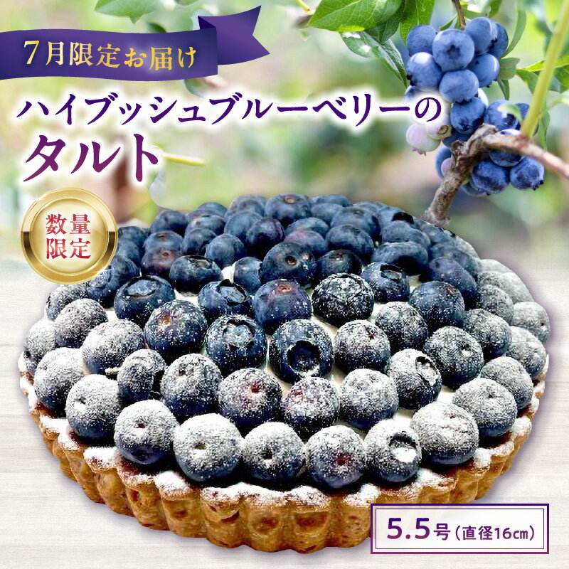 【ふるさと納税】【ドゥブルベ・ボレロ】【数量限定】 ハイブッシュ ブルーベリー タルト 5.5号 直径 16cm ホール 特製 蒸留酒 シロップ 生クリーム コンフィチュール 果実 大粒 酸味 濃厚 ご褒美 サマーギフト スイーツ デザート お取り寄せ 滋賀県 守山市 送料無料