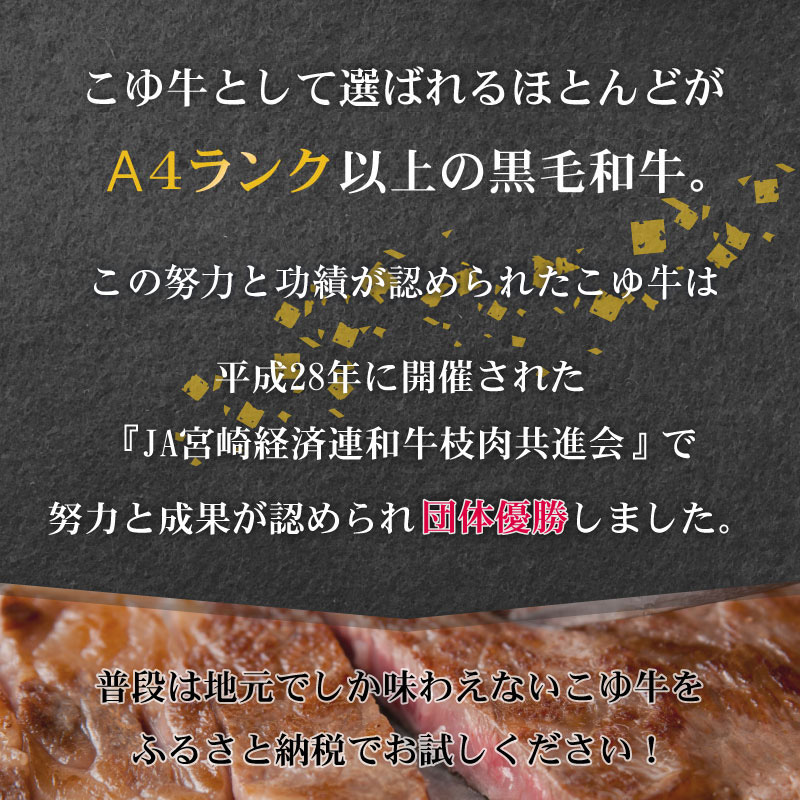 ［50セット限定］こゆ牛・豚・鶏バラエティ3ヵ月定期便（ファミリーパック）食べ比べ 詰合せ【E141】_イメージ5