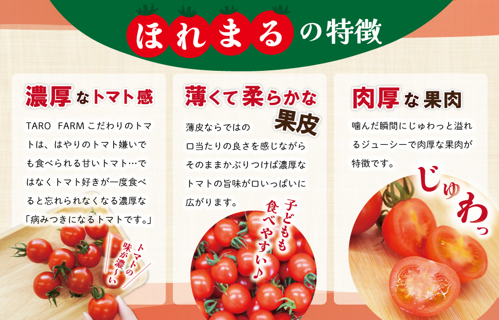 明和町産 完熟 トマト ほれまる とパウンドケーキ の セット 絶品 美味しい 野菜の甘み ミニトマト 朝採り 新鮮 生鮮 野菜 あっさり お菓子 洋菓子 おやつ スイーツ おすすめ