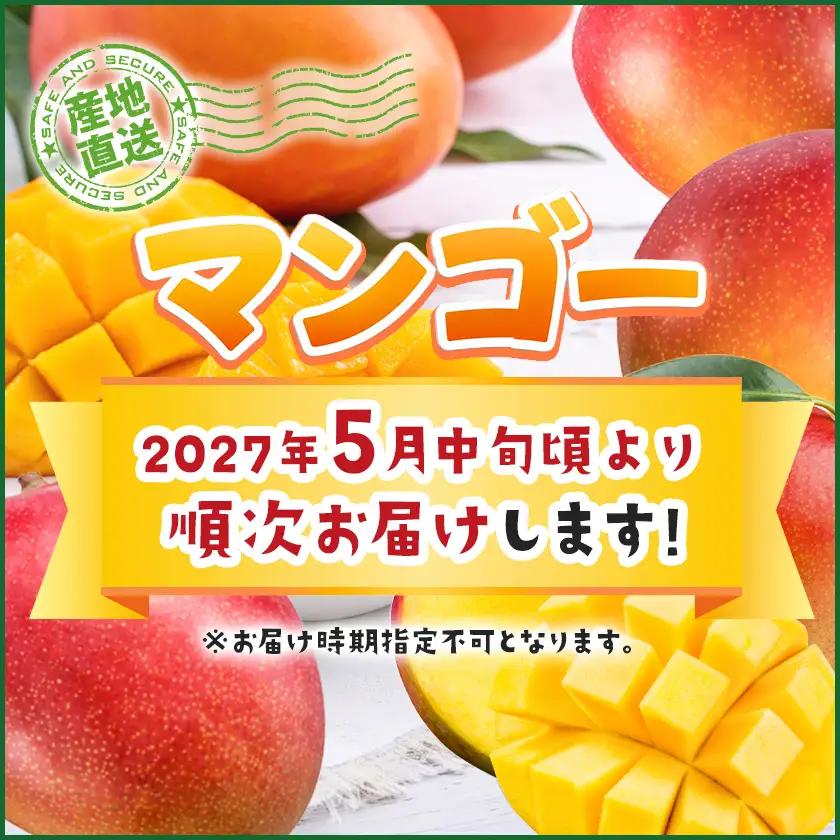 【先行受付!】宮崎県産完熟マンゴー(A等級) 【3L以上×2玉】化粧箱入り≪2027年5月中旬以降順次お届け≫〔AE-0112〕_(都城市) 宮崎県産 完熟マンゴー 化粧箱入り 3Lサイズ 糖度13度
