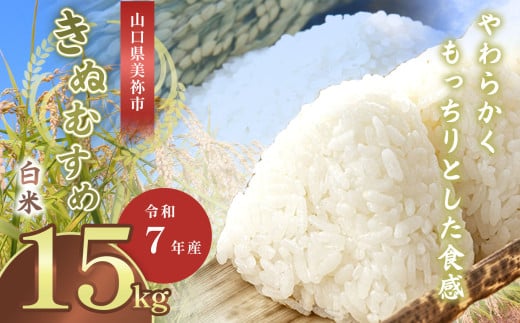 令和7年度産 新米 きぬむすめ 白米 15kg 先行予約 ＜ 2025年11月～より順次発送予定 ＞ ｜ 精米 新米 白米 米 雑穀 お米 コメ 単一米 きぬむすめ 絹娘  山口 美祢 秋吉台 15kg