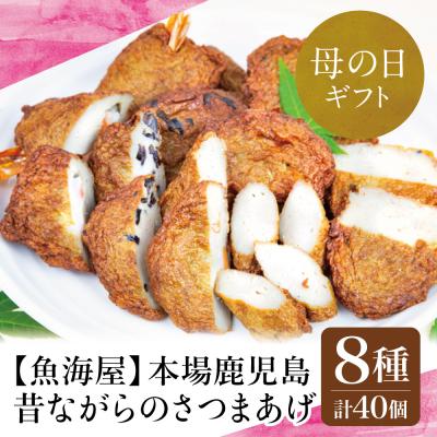 ふるさと納税 南さつま市 【母の日ギフト】本場鹿児島 昔ながらのさつまあげ 8種 計40個
