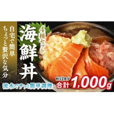 ふるさと納税 山口市 海鮮丼4品人気セット　1kg(ネギトロ他3品) E086