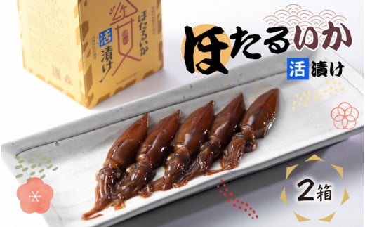 ほたるいか活漬け２箱セット【 醤油漬け ホタルイカ 朝どれ 沖漬 沖漬け 塩辛 朝獲れ おつまみ 珍味 観光 ギフト カネツル砂子商店 ザ共通テン ザ・共通テン  】