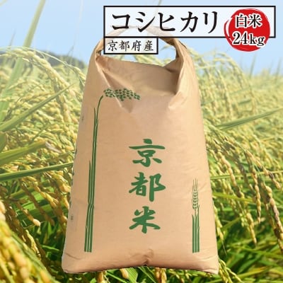 【令和7年産】京都府産コシヒカリ(白米)24kg