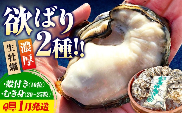 
                  【生牡蠣】【着日指定可能】かきうちの牡蠣むき身 500gと殻付き 10個 江田島市／株式会社かきうち[XBK004]｜牡蠣 生食 むき身 殻付き 殻付 殻 かき カキ 生牡蠣 広島牡蠣 オイスター kaki 魚介類 魚介 貝類 海鮮 広島県産 国産 産地直送 贈答 ギフト 特産品
                