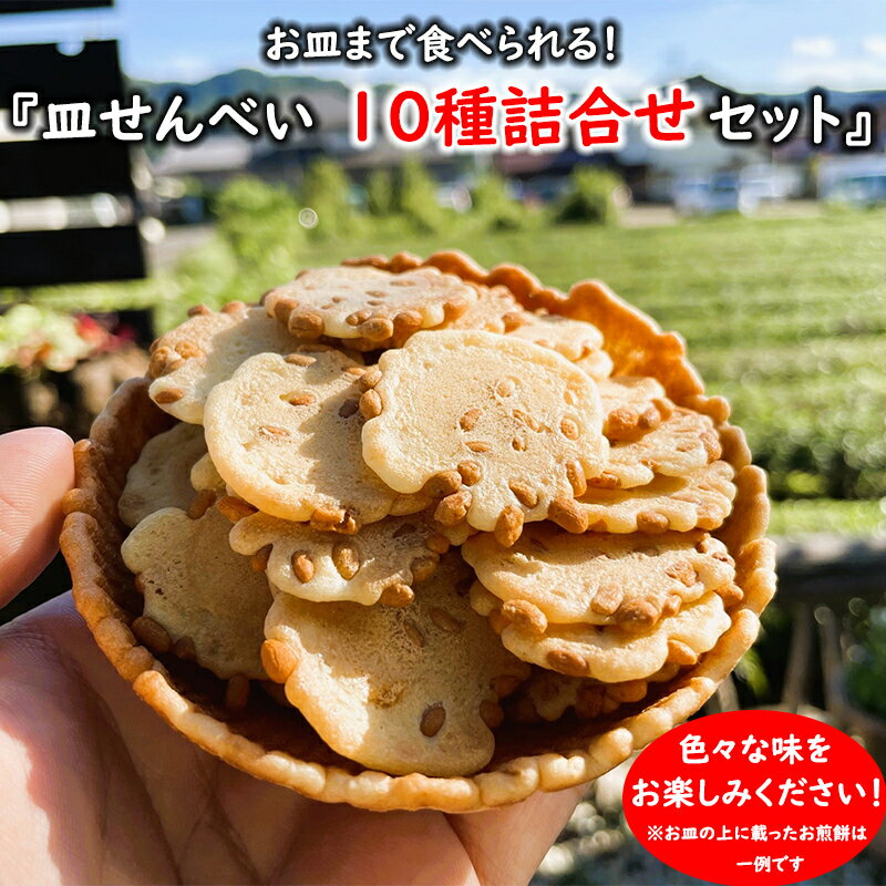 【ふるさと納税】 せんべい 煎餅 詰め合わせ 詰合せ 落花生 ピーナッツ 胡麻 皿せんべい 10種 お土産 ギフト お菓子 おやつ 八百津せんべい やおつせんべい 日の丸製菓 送料無料 y15-381